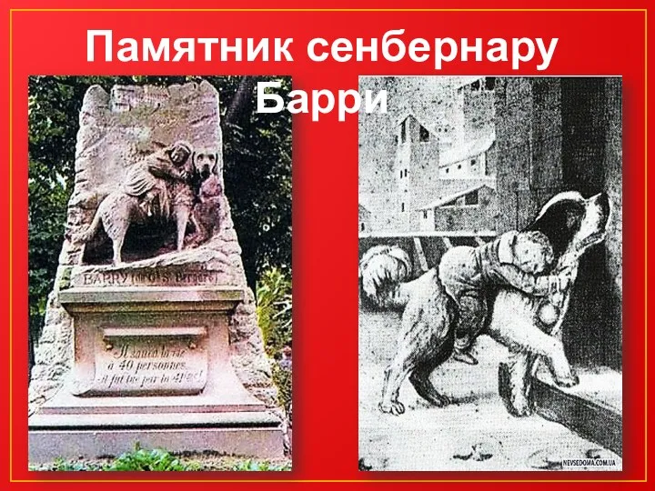 Памятник сенбернару Барри