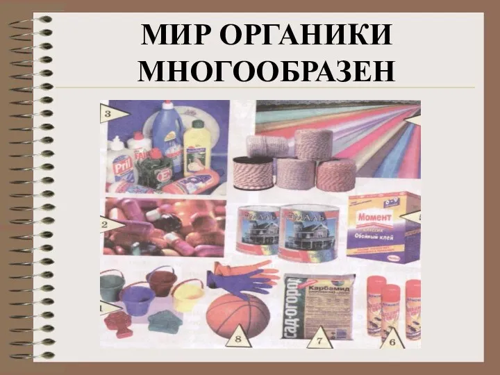 МИР ОРГАНИКИ МНОГООБРАЗЕН