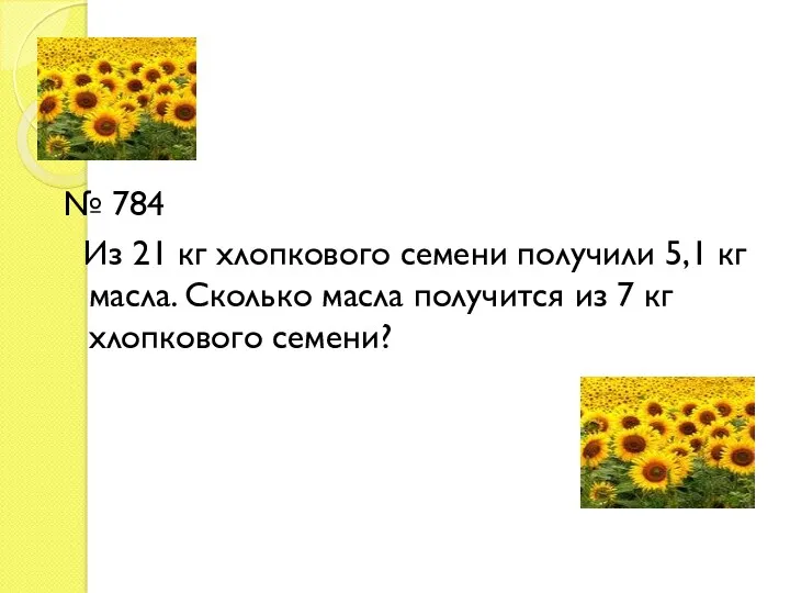 № 784 Из 21 кг хлопкового семени получили 5,1 кг