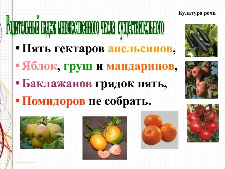 Пять гектаров апельсинов, Яблок, груш и мандаринов, Баклажанов грядок пять,