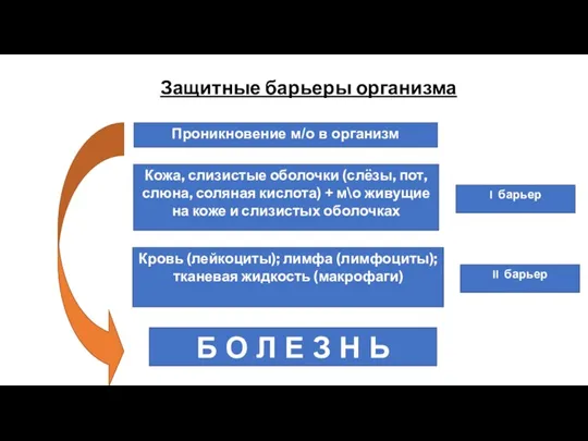 Защитные барьеры организма Проникновение м/о в организм Кожа, слизистые оболочки