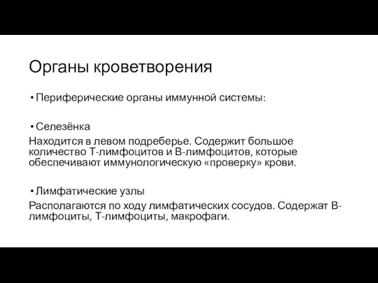 Органы кроветворения Периферические органы иммунной системы: Селезёнка Находится в левом