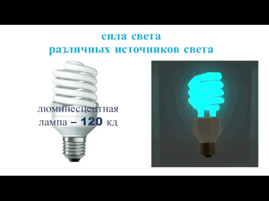 сила света различных источников света люминесцентная лампа – 120 кд