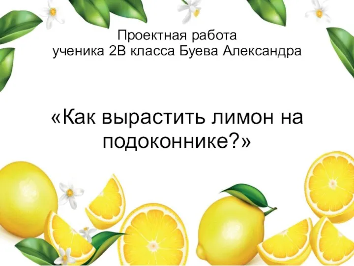 Проектная работа Как вырастить лимон на подоконнике?