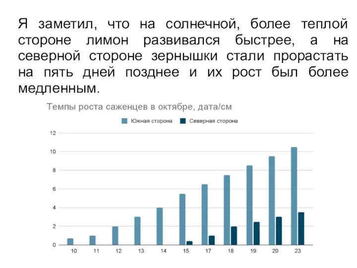 Я заметил, что на солнечной, более теплой стороне лимон развивался