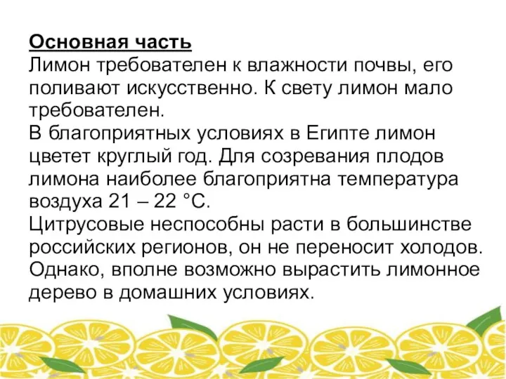 Основная часть Лимон требователен к влажности почвы, его поливают искусственно.