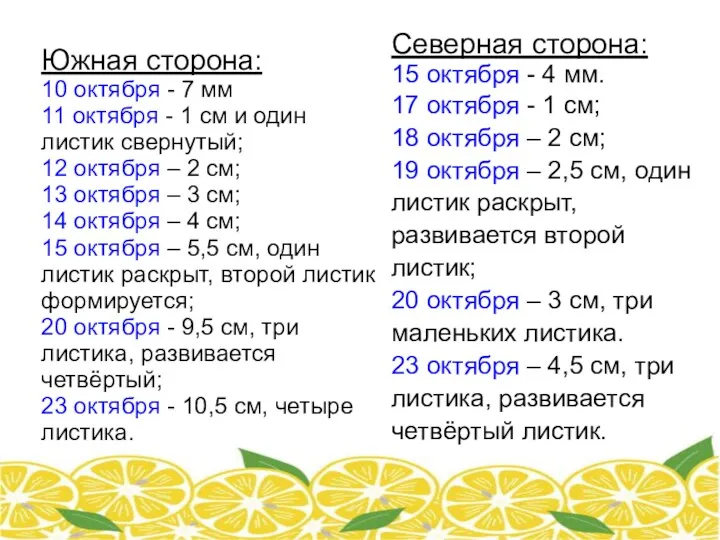 Южная сторона: 10 октября - 7 мм 11 октября -