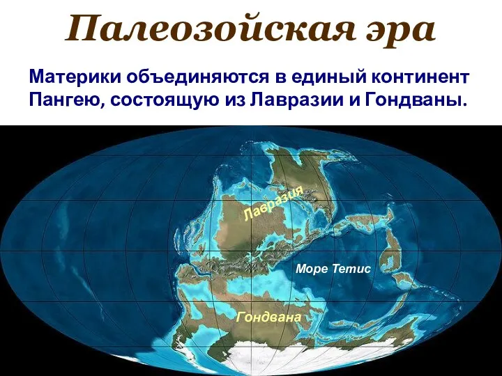 Палеозойская эра Материки объединяются в единый континент Пангею, состоящую из Лавразии и Гондваны.