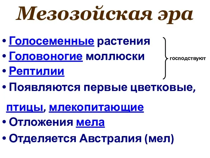 Мезозойская эра Голосеменные растения Головоногие моллюски Рептилии Появляются первые цветковые, птицы, млекопитающие Отложения