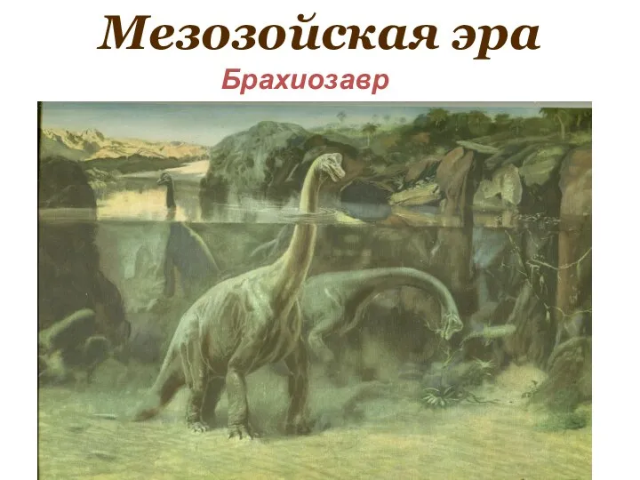 Мезозойская эра Брахиозавр