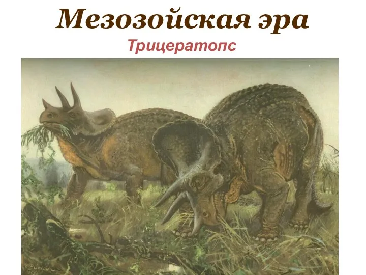 Мезозойская эра Трицератопс