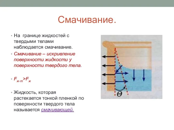 Смачивание. На границе жидкостей с твердыми телами наблюдается смачивание. Смачивание