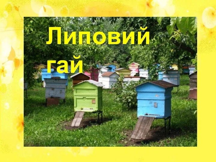 Липовий гай