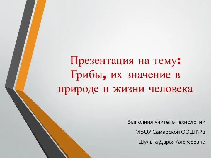 Грибы, их значение в природе и жизни человека