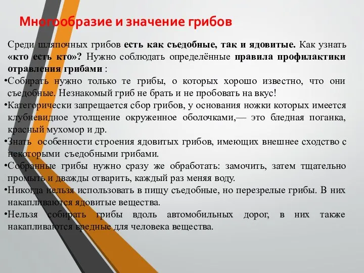 Многообразие и значение грибов Среди шляпочных грибов есть как съедобные,