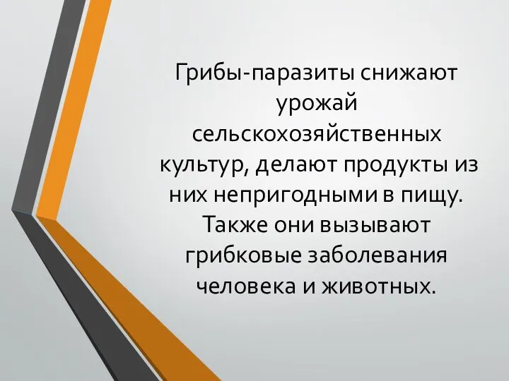 Грибы-паразиты снижают урожай сельскохозяйственных культур, делают продукты из них непригодными