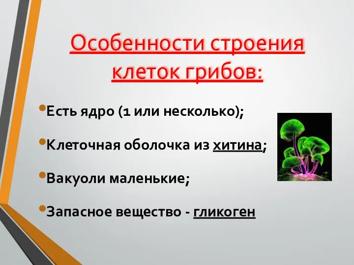 Особенности строения клеток грибов: Есть ядро (1 или несколько); Клеточная