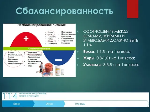 Сбалансированность СООТНОШЕНИЕ МЕЖДУ БЕЛКАМИ, ЖИРАМИ И УГЛЕВОДАМИ ДОЛЖНО БЫТЬ 1:1:4