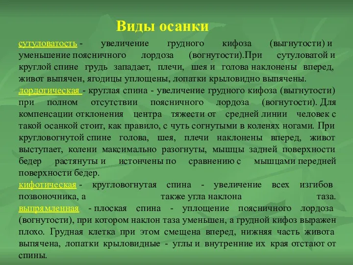 сутуловатость - увеличение грудного кифоза (выгнутости) и уменьшение поясничного лордоза