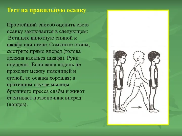 Тест на правильную осанку Простейший способ оценить свою осанку заключается