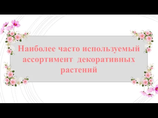 Наиболее часто используемый ассортимент декоративных растений