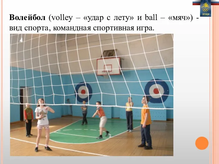 Волейбол (volley – «удар с лету» и ball – «мяч») - вид спорта, командная спортивная игра.