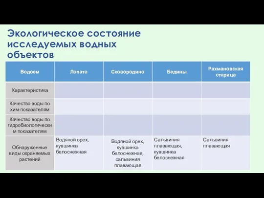 Экологическое состояние исследуемых водных объектов