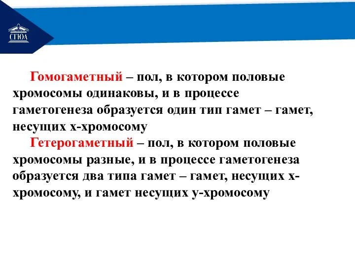 РЕМОНТ Гомогаметный – пол, в котором половые хромосомы одинаковы, и