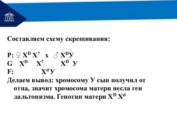 РЕМОНТ Составляем схему скрещивания: Р: ♀ XD Х? х ♂