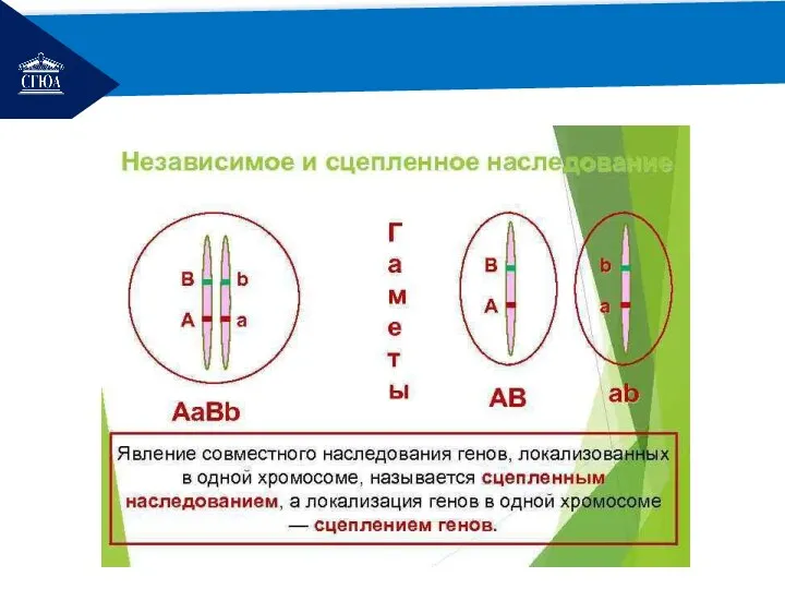 РЕМОНТ