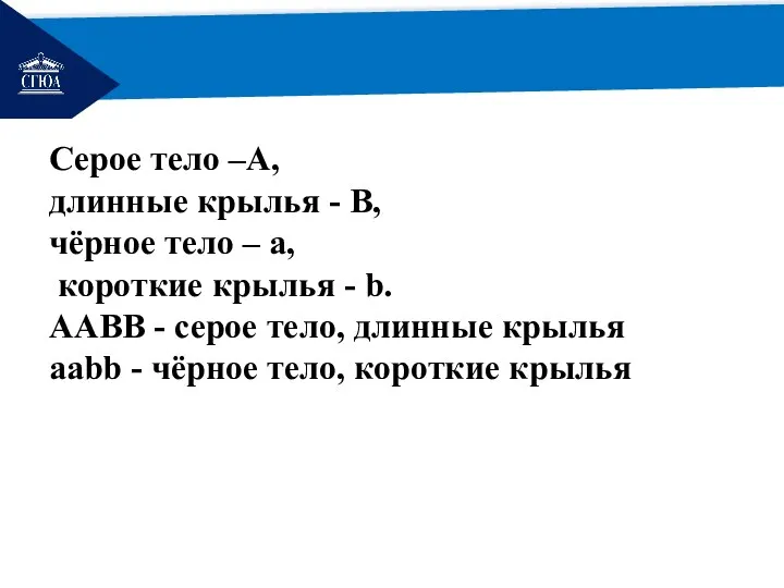 РЕМОНТ Серое тело –A, длинные крылья - B, чёрное тело