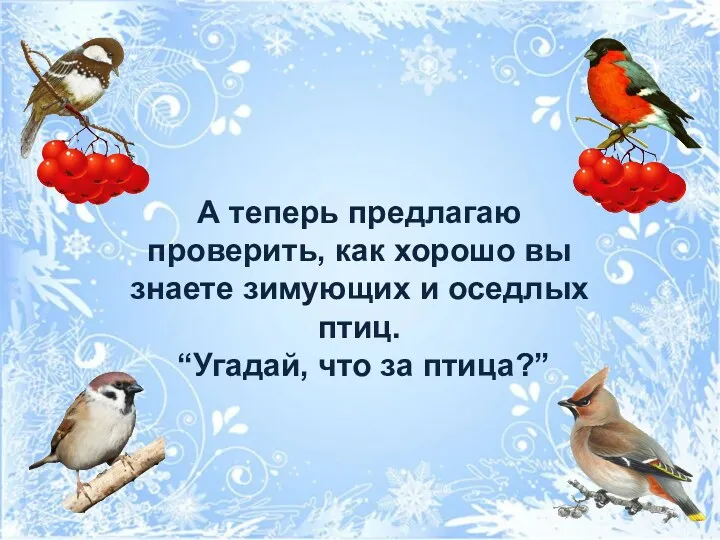 А теперь предлагаю проверить, как хорошо вы знаете зимующих и оседлых птиц. “Угадай, что за птица?”