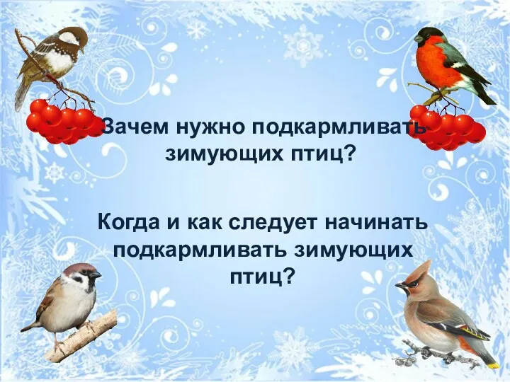 Когда и как следует начинать подкармливать зимующих птиц? Зачем нужно подкармливать зимующих птиц?