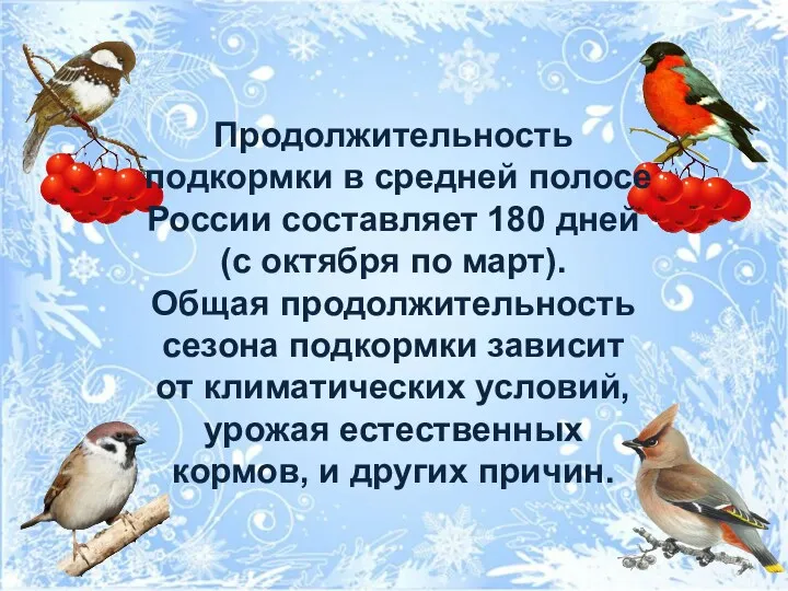 Продолжительность подкормки в средней полосе России составляет 180 дней (с