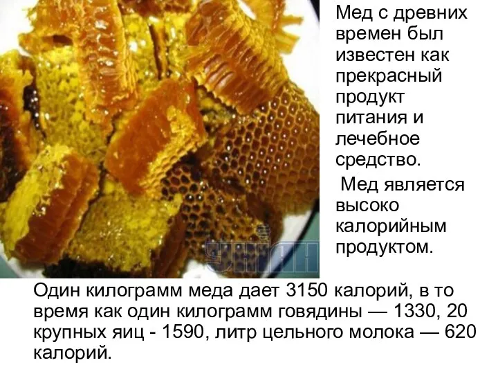 Мед с древних времен был известен как прекрасный продукт питания