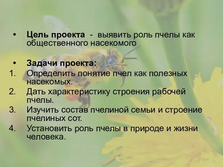 Цель проекта - выявить роль пчелы как общественного насекомого Задачи