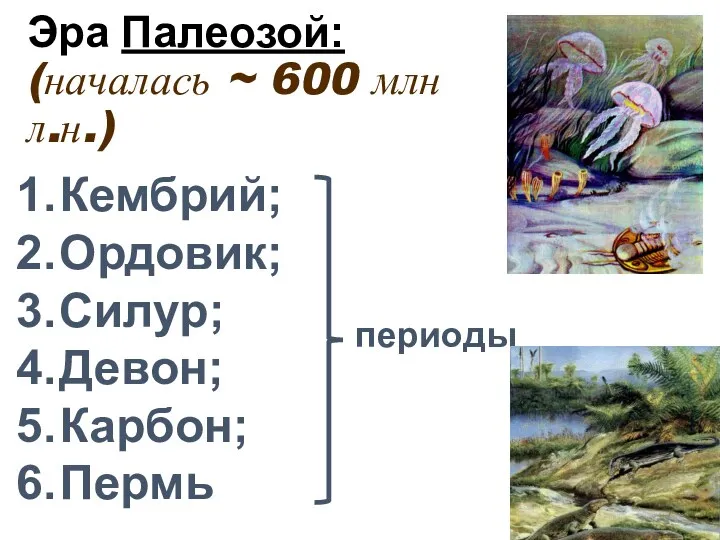 Эра Палеозой: (началась ~ 600 млн л.н.) Кембрий; Ордовик; Силур; Девон; Карбон; Пермь периоды