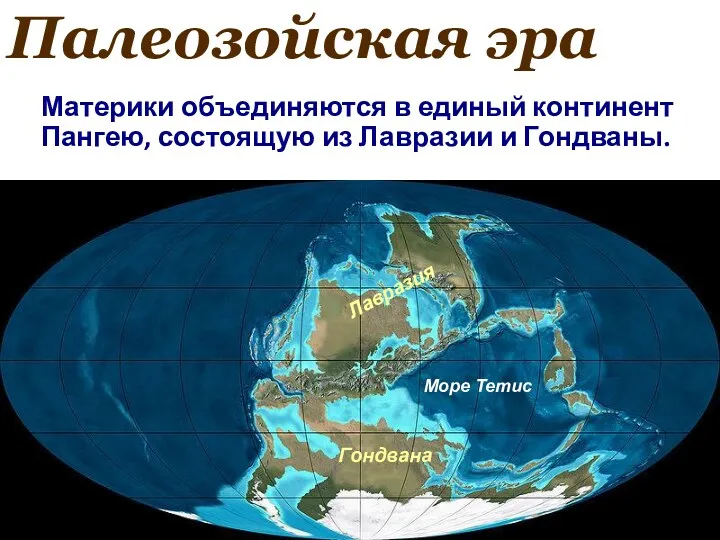 Палеозойская эра Материки объединяются в единый континент Пангею, состоящую из