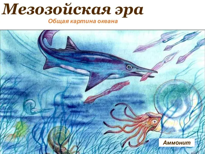 Мезозойская эра Общая картина океана Аммонит