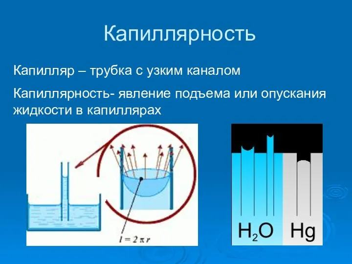 Капиллярность Капилляр – трубка с узким каналом Капиллярность- явление подъема или опускания жидкости в капиллярах