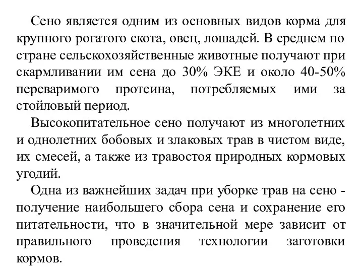 Сено является одним из основных видов корма для крупного рогатого