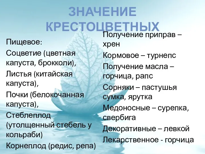 ЗНАЧЕНИЕ КРЕСТОЦВЕТНЫХ Пищевое: Соцветие (цветная капуста, брокколи), Листья (китайская капуста),