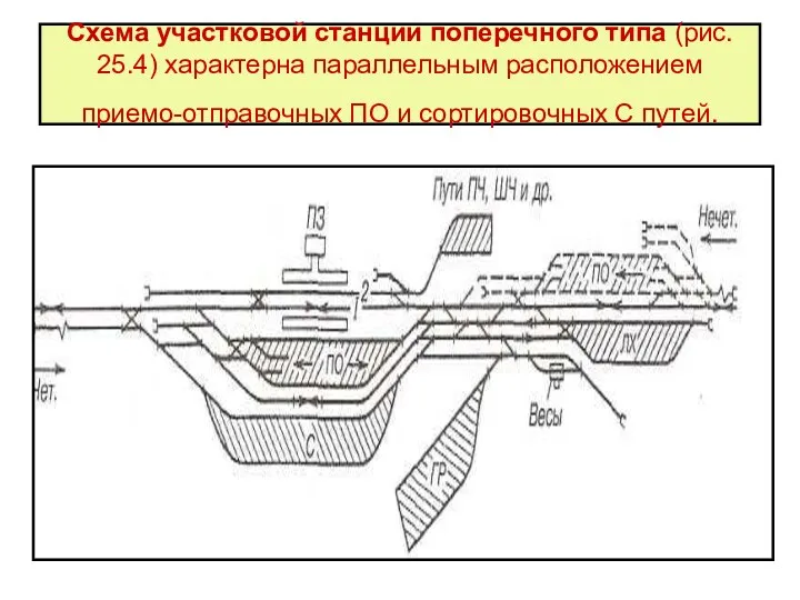 Схема участковой станции поперечного типа (рис. 25.4) характерна параллельным расположением приемо-отправочных ПО и сортировочных С путей.