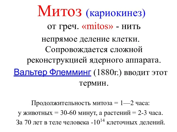 Митоз (кариокинез) от греч. «mitos» - нить непрямое деление клетки.