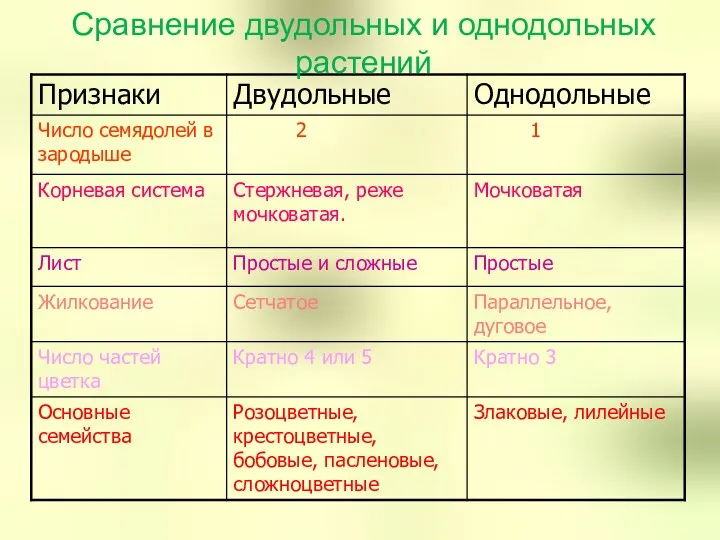 Сравнение двудольных и однодольных растений