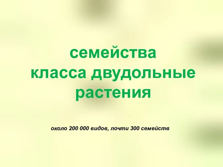 семейства класса двудольные растения около 200 000 видов, почти 300 семейств