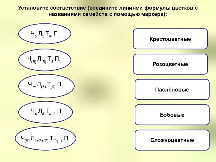 Крестоцветные Розоцветные Паслёновые Бобовые Сложноцветные Установите соответствие (соедините линиями формулы