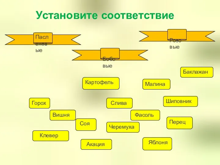 Фасоль Вишня Картофель Горох Баклажан Черемуха Слива Яблоня Перец Шиповник