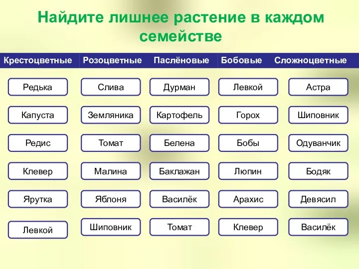 Найдите лишнее растение в каждом семействе Редька Капуста Редис Ярутка