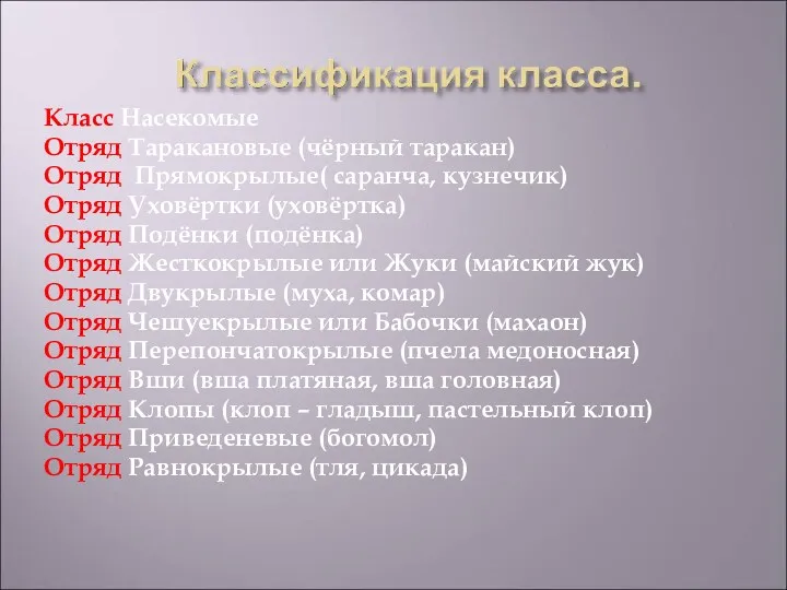 Класс Насекомые Отряд Таракановые (чёрный таракан) Отряд Прямокрылые( саранча, кузнечик)